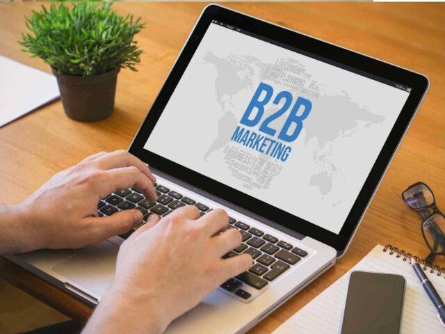 Why do b2b sales professionals succeed in a franchise business?