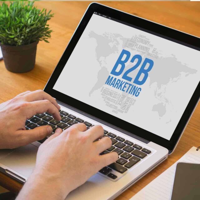 Why do b2b sales professionals succeed in a franchise business?